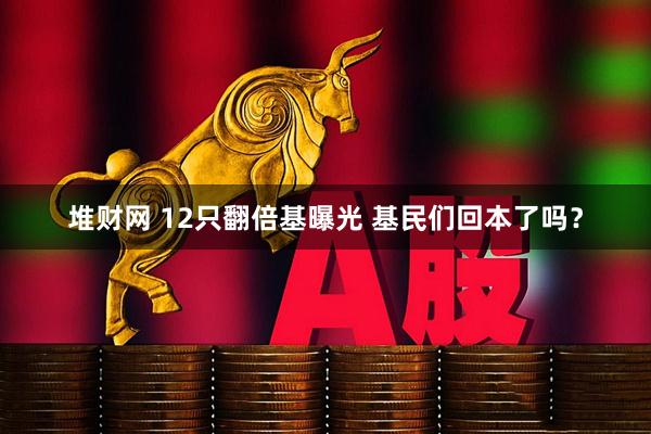 堆财网 12只翻倍基曝光 基民们回本了吗？