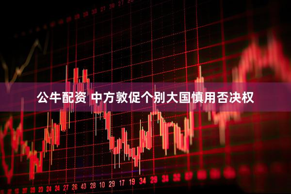公牛配资 中方敦促个别大国慎用否决权