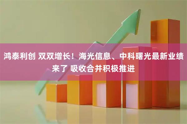 鸿泰利创 双双增长！海光信息、中科曙光最新业绩来了 吸收合并积极推进