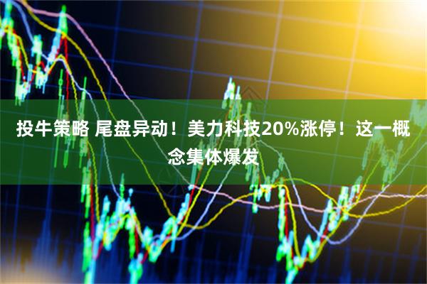 投牛策略 尾盘异动！美力科技20%涨停！这一概念集体爆发