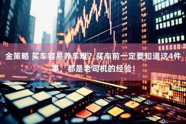 金策略 买车容易养车难？买车前一定要知道这4件事，都是老司机的经验！