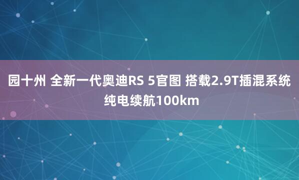 园十州 全新一代奥迪RS 5官图 搭载2.9T插混系统 纯电续航100km