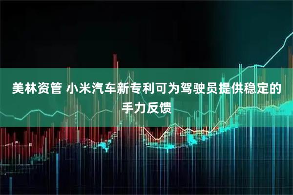 美林资管 小米汽车新专利可为驾驶员提供稳定的手力反馈